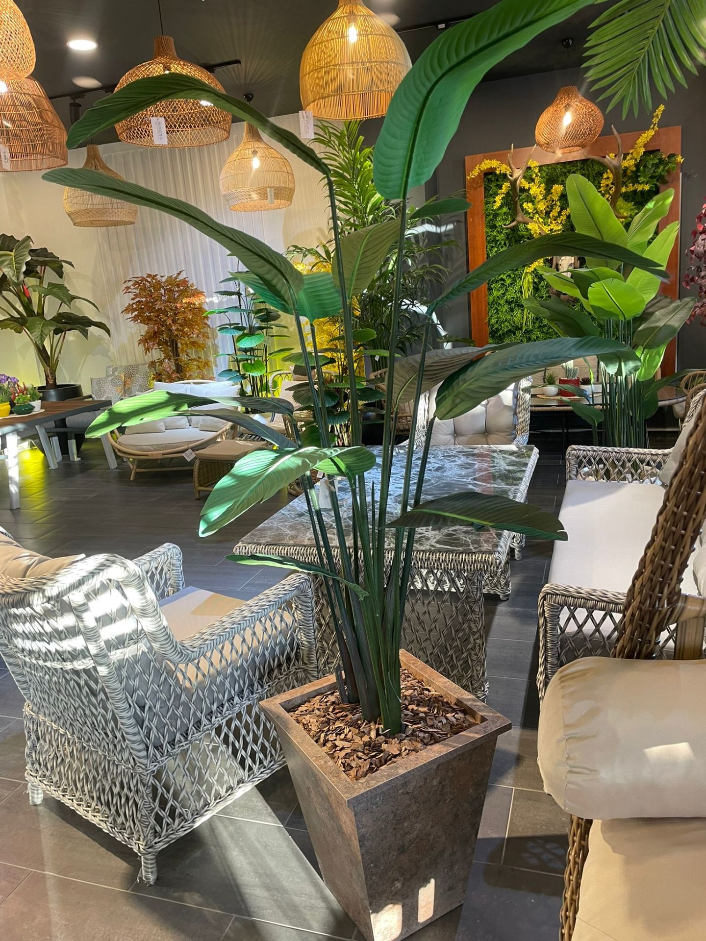 Mdf%20saksılı%20starliçe