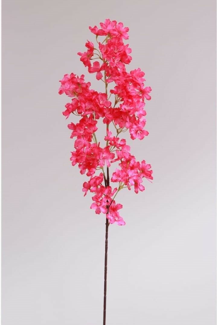 Pembe%20Bahar%20Dalı