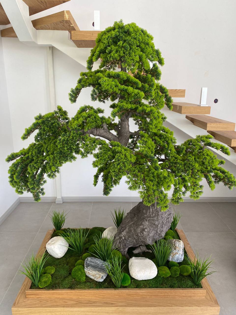 bonsai%20200%20cm