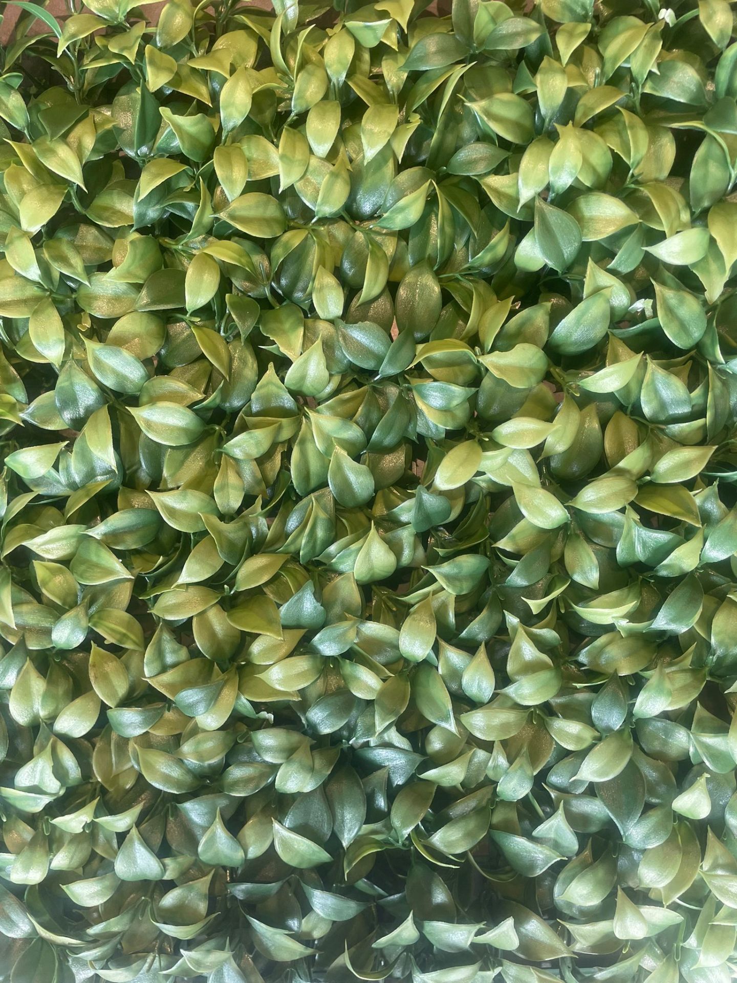 Yeşil%20plaka%2050cm%20x%2050%20cm