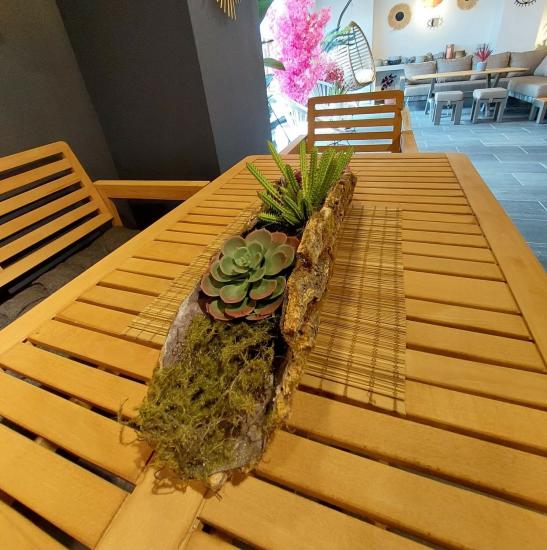 Yapay Sukulentli Dekoratif Ağaç Gövdesi