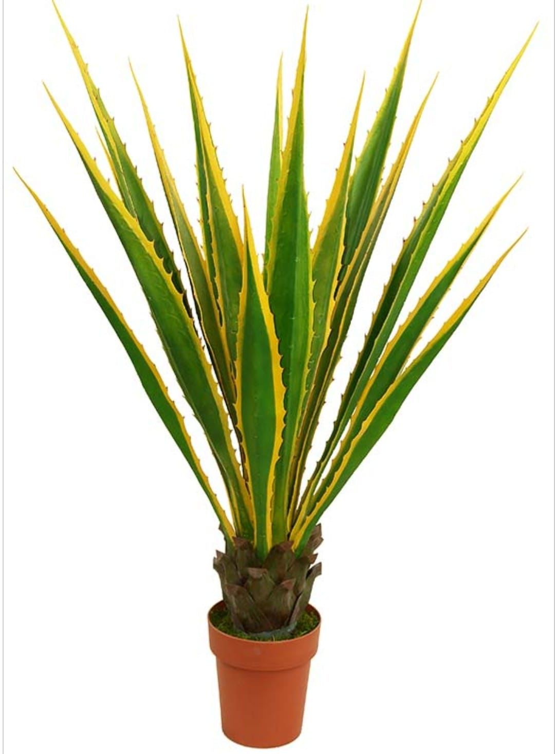 Yapay%20Agave%20110%20cm